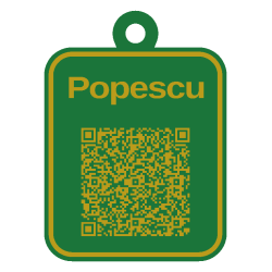 Tag QR pentru bagaje personalizat 3D în două culori