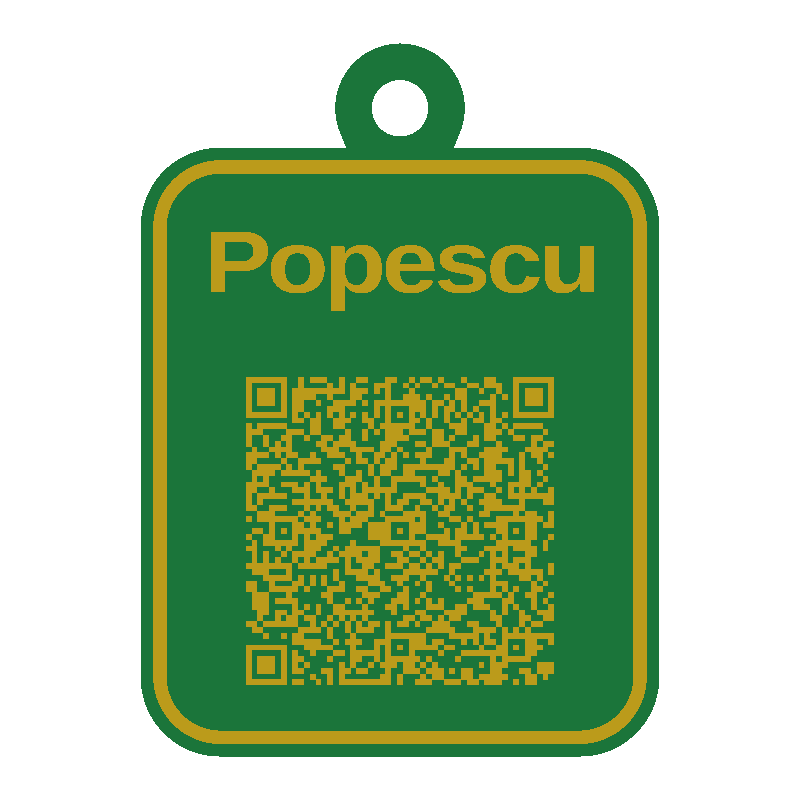 Tag QR pentru bagaje personalizat 3D în două culori