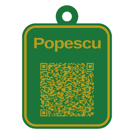 Tag QR pentru bagaje personalizat 3D în două culori