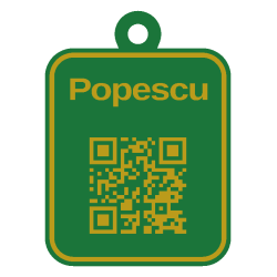 Tag QR pentru bagaje personalizat 3D în două culori