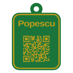 Tag QR pentru bagaje personalizat 3D în două culori